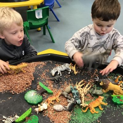 Spring Term 1 Part 2 - Animals and Their Habitats